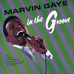 Cover for In the Groove by Marvin Gaye